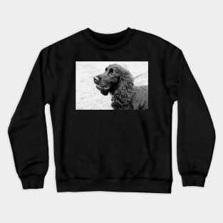 Jarvis Crewneck Sweatshirt